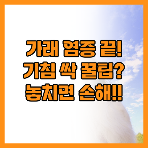 가래 삭히고 기관지 염증 잡는 기침 ..