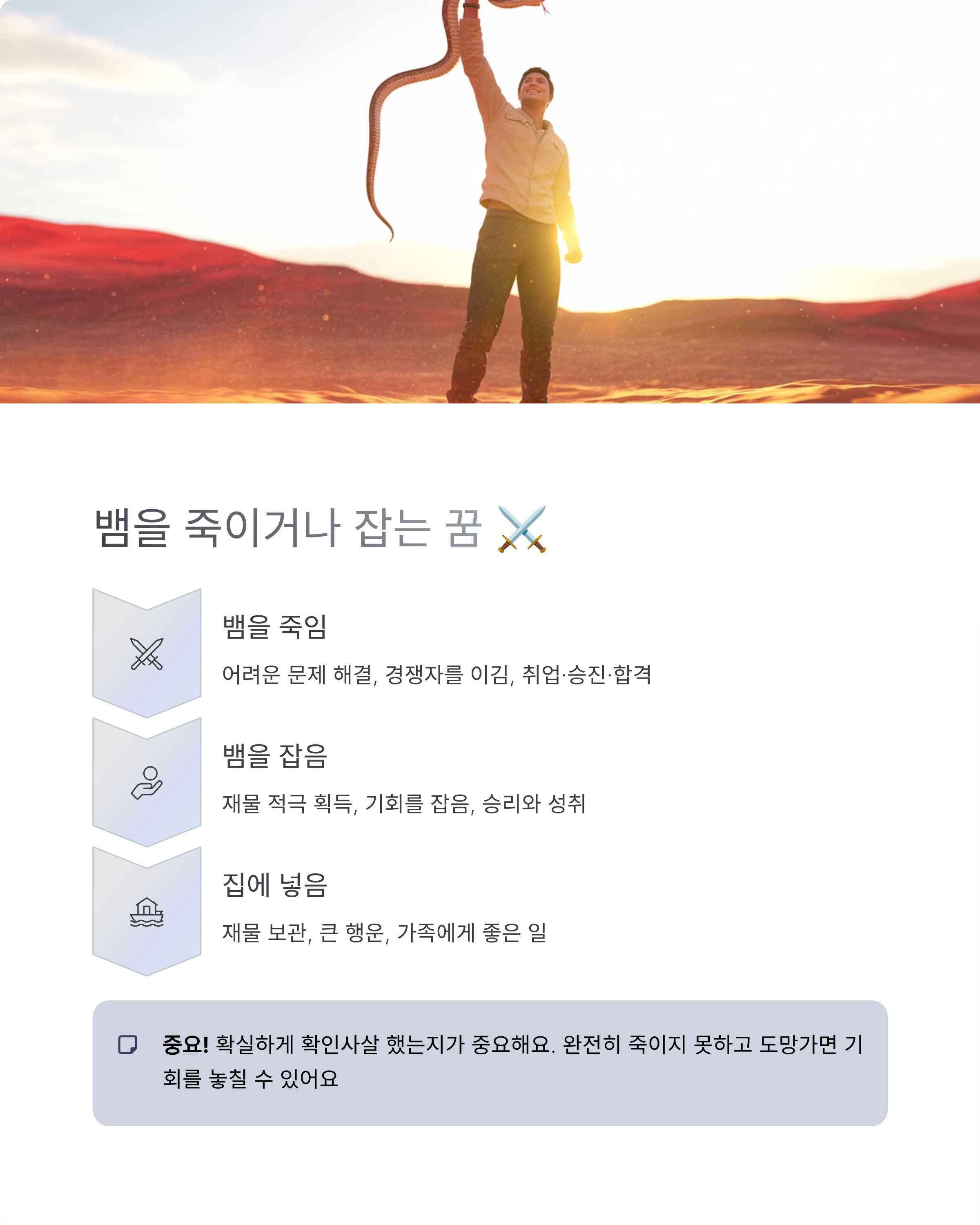 뱀꿈 해몽 총정리