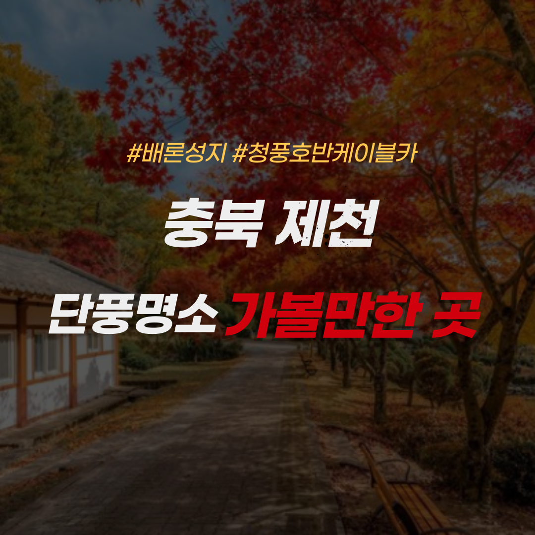 충북-제천-가볼만한 곳-배론성지-청풍호반케이블카