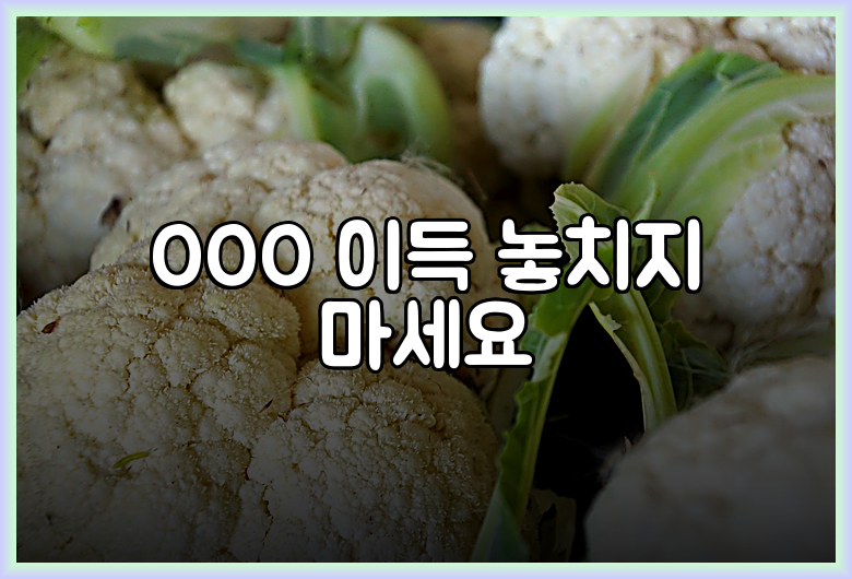 OOO 이득 놓치지 마세요