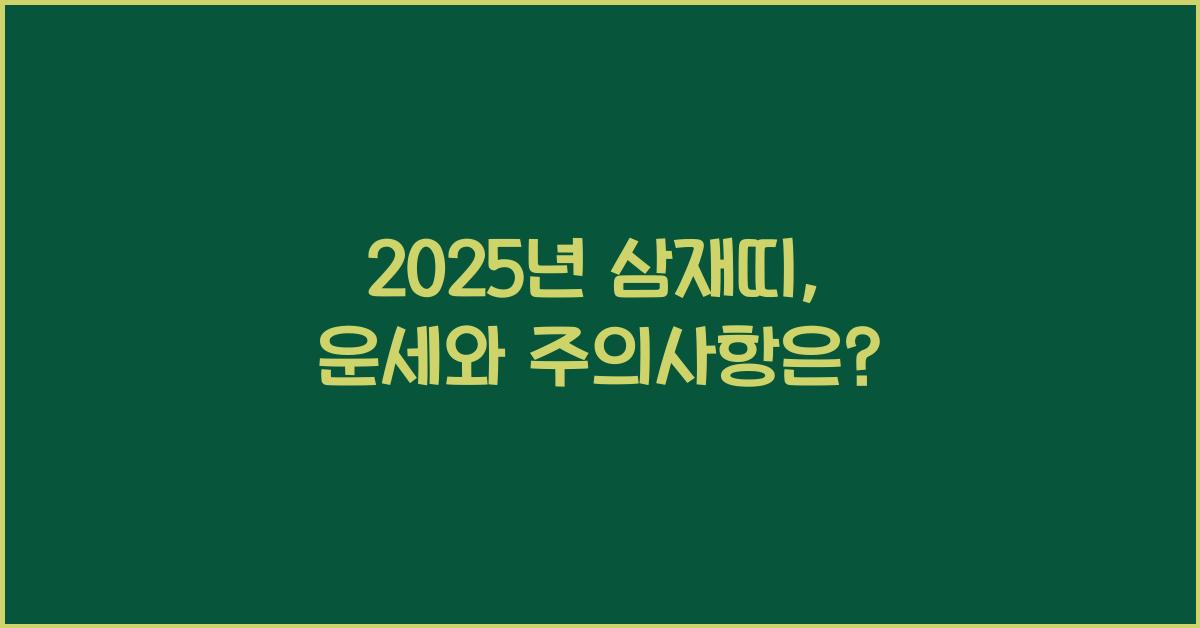 2025년 삼재띠