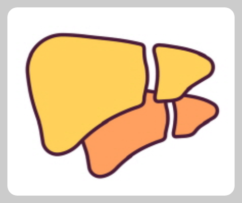 길버트증후군 증상