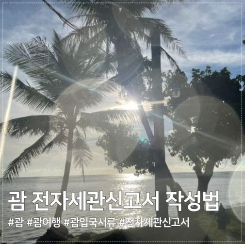 사이판 괌 전자세관신고서 비자면제 신청서 작성방법