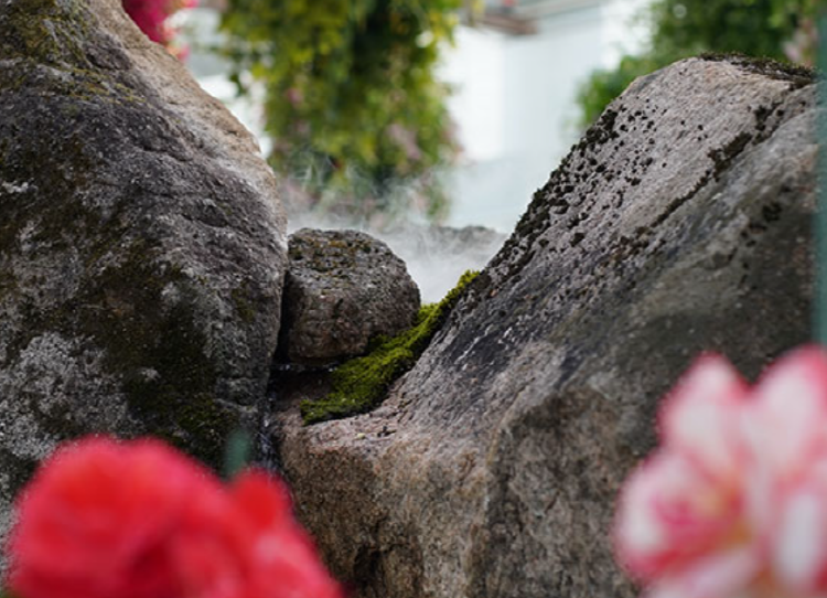 가평 베고니아 새정원