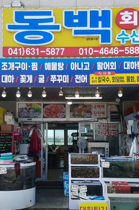 오늘엔 2월 19일 남당항 새조개 맛집 동백회수산 