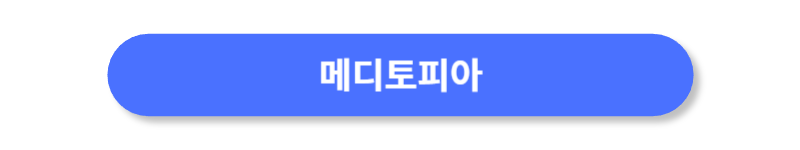 버튼