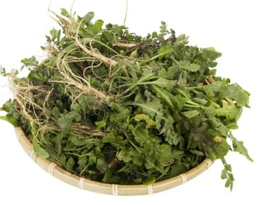 3월에 먹으면 좋은 제철 음식(봄철 음식) - 냉이편 (효능, 냉이가 들어가는 음식)