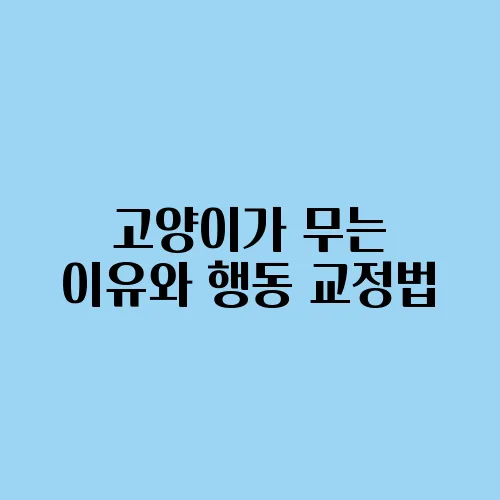 고양이가 무는 이유와 행동 교정법