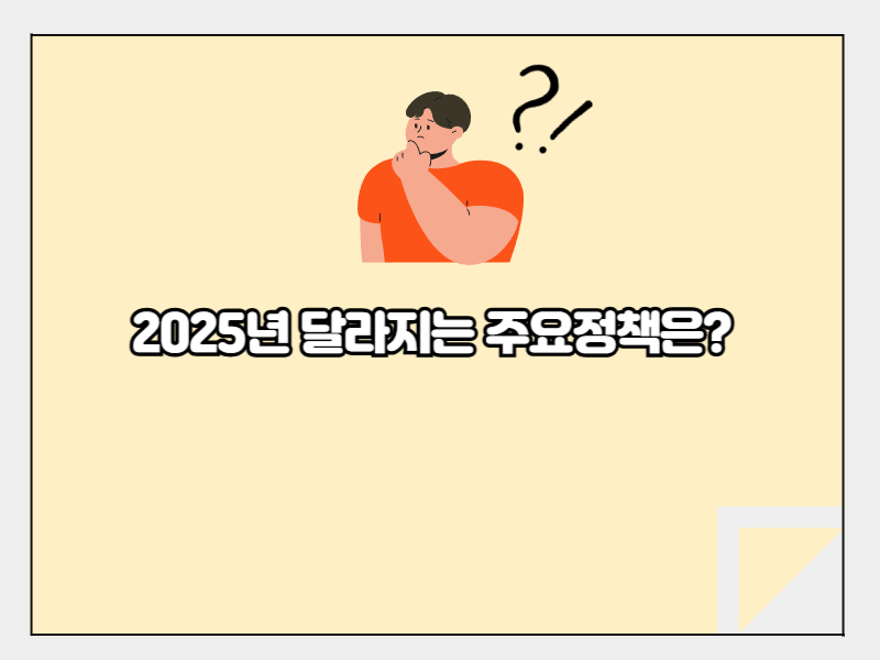 2025 정책