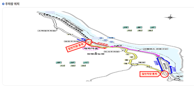 2024 광양매화축제 기간 입장료 매화마을 가는 방법 주차장 (주요 관광지)