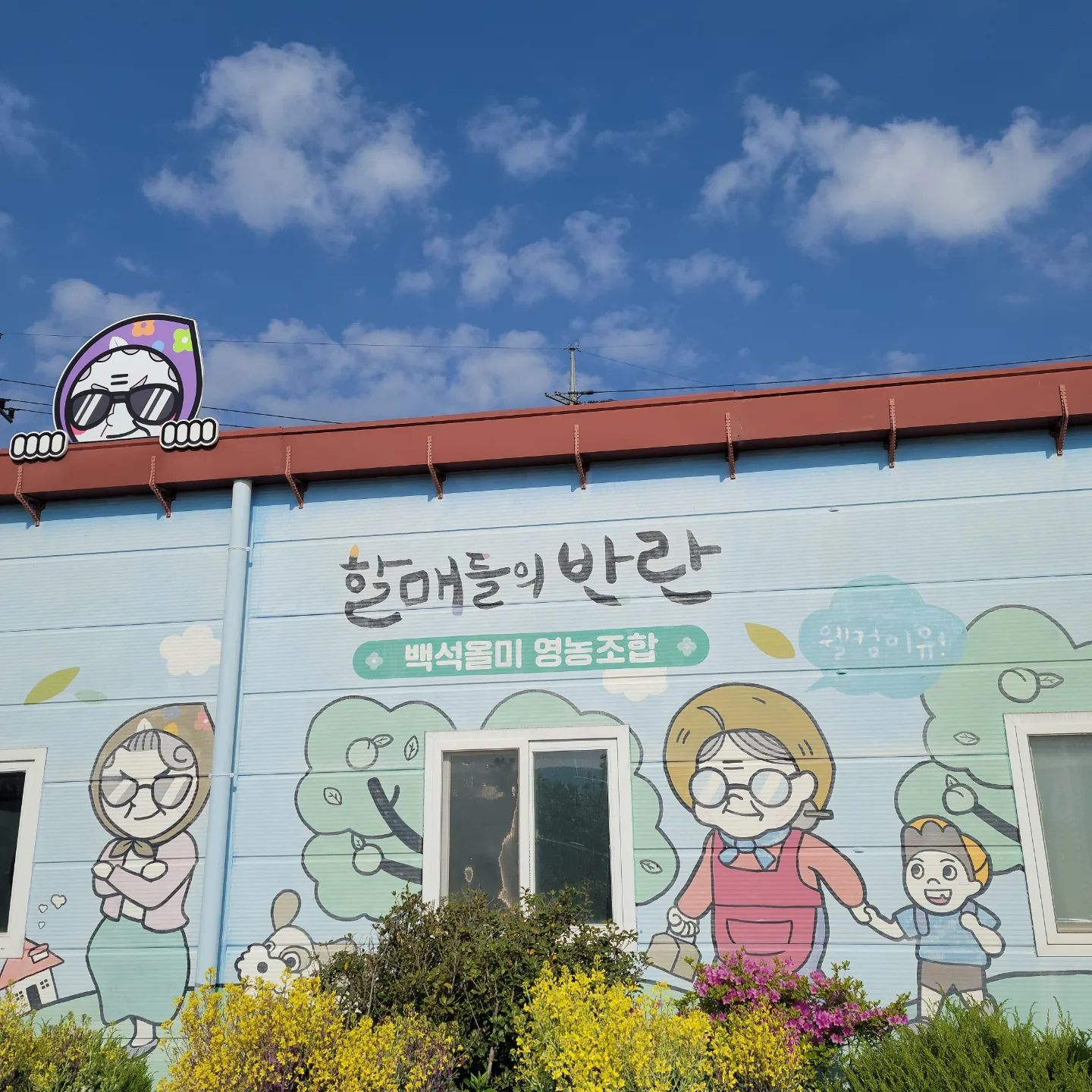 평균연령 70세! 할매들의 반란 전국 택배 온라인 주문 한과, 고추장, 약과 만들기 체험 충남 당진 가볼만한 곳