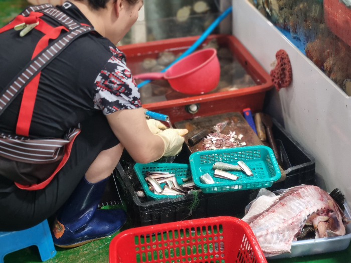 전어 손질하는 모습