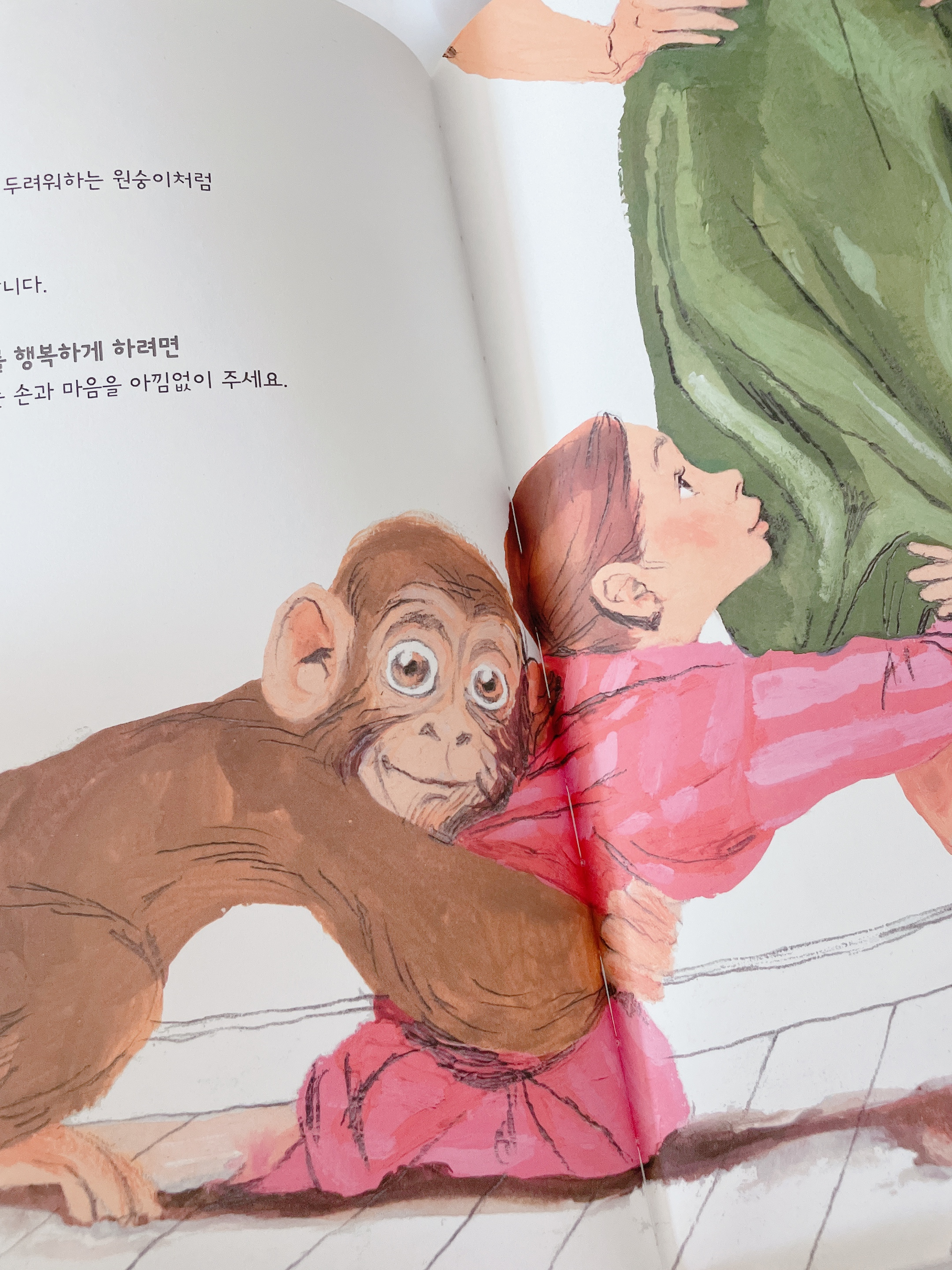 무서운 원숭이