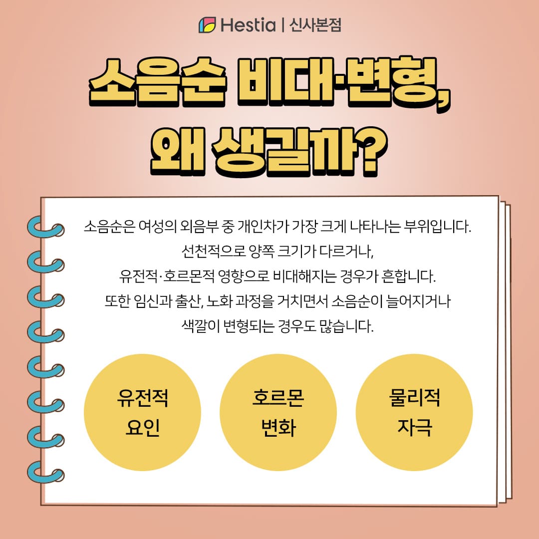 소음순 비대, 소음순 변형 왜 생길까?