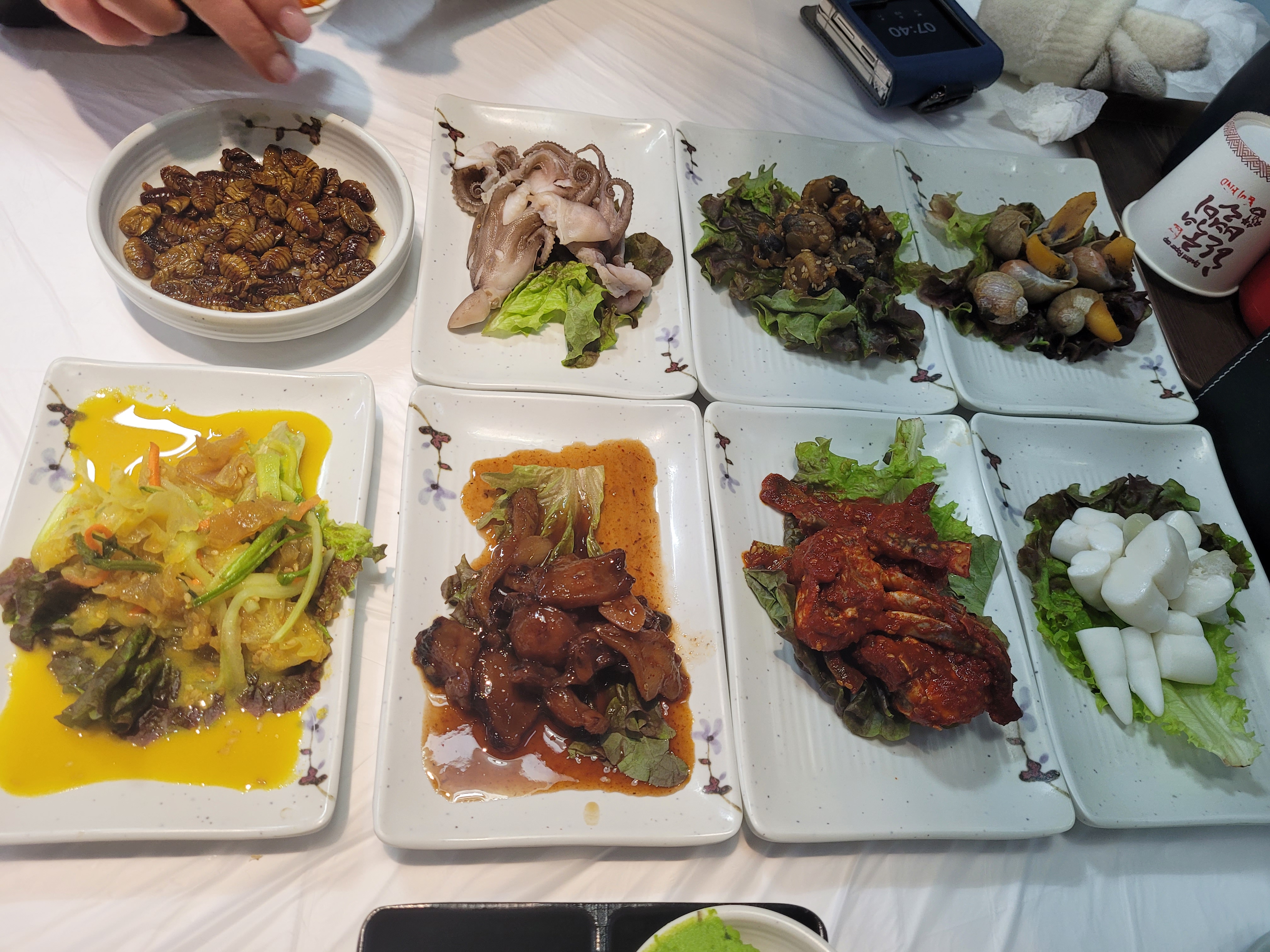 다양한 종류의 해산물들