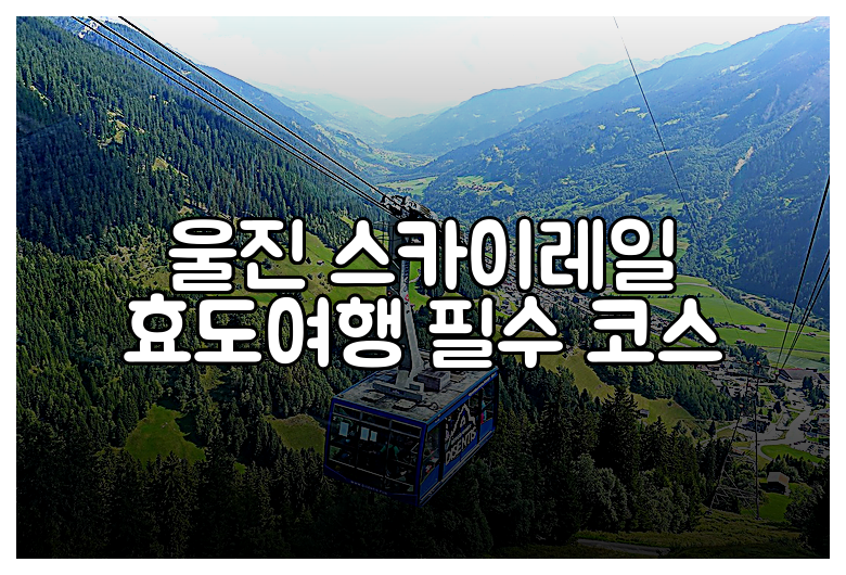 울진 스카이레일 효도여행 필수 코스