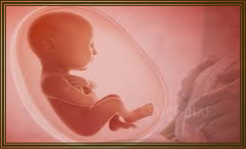 임신중 부부관계를 피해야하는 경우 6가지