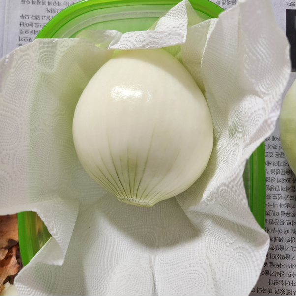 키친타월에 싸서 통에 담아 보관하기