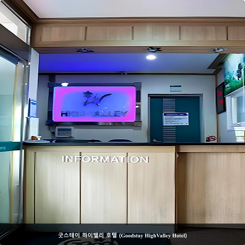 굿스테이 하이밸리 호텔 (Goodstay HighValley Hotel)_3