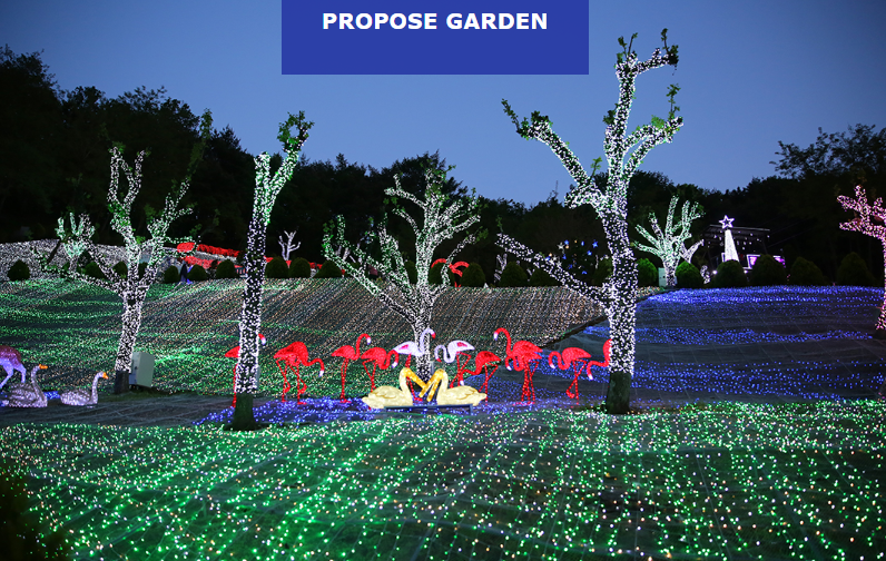 청도 프로방스 빛축제