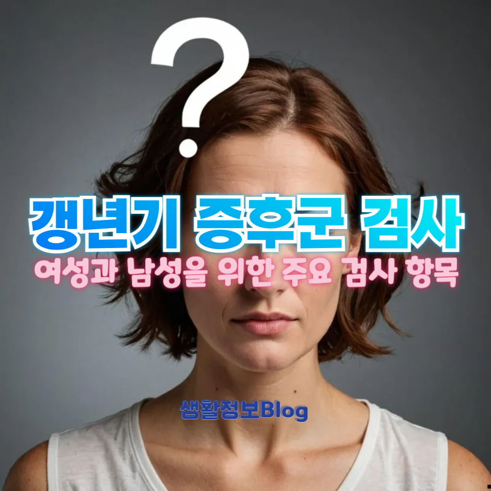 갱년기 증후군 검사