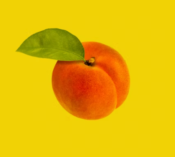 복숭아 효능 부작용 칼로리