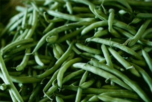 강낭콩 효능15