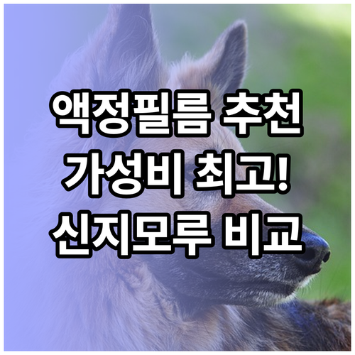 가성비 좋은 액정필름 추천.. 신지모