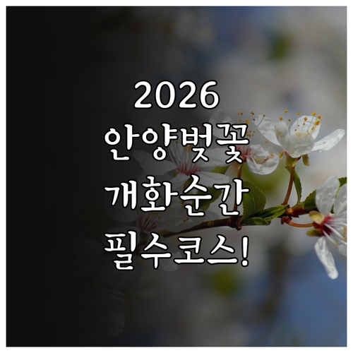 2026년 안양 만안구 벚꽃 명소별 ..