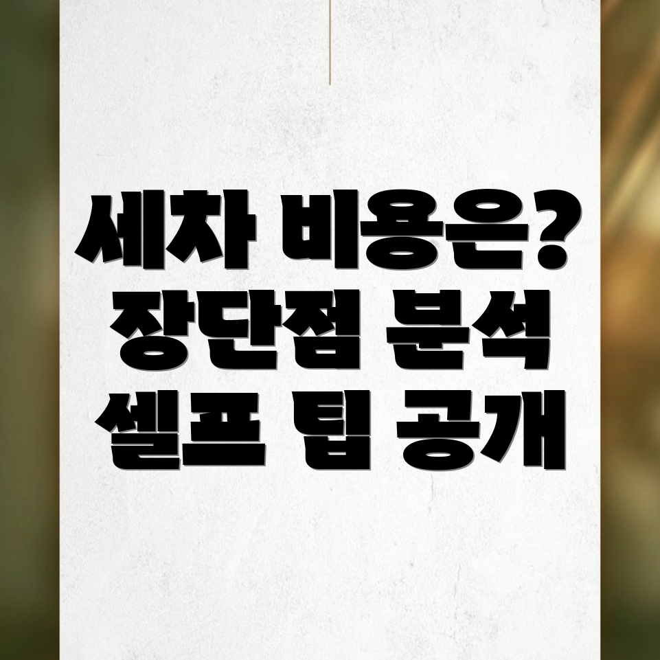 부천 스팀세차