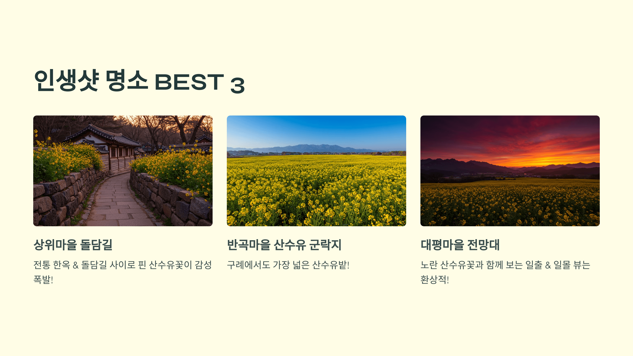 2025 구례 산수유꽃축제 기간(일정), 실시간 개화시기,주변 맛집