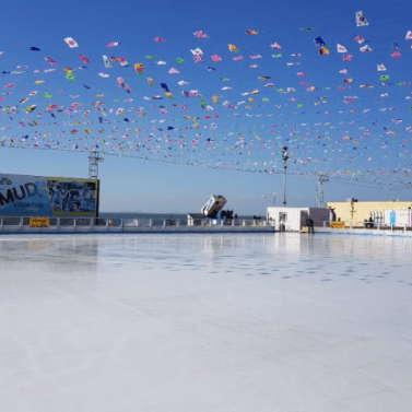 울산꿀잼빙상장