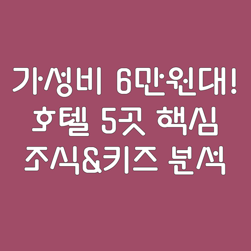 가고시마 가성비 호텔 5곳 6만원대 ..