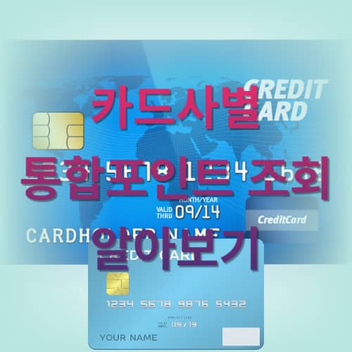카드사별 통합포인트 조회 알아보기