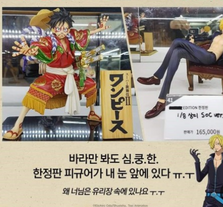 원피스 25주년 팝업스토어 더현대 대구 7월일정