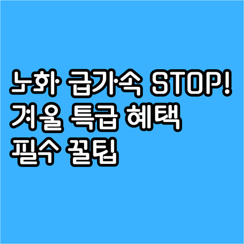 노화 가속기 막는 스킨부스터 2024..