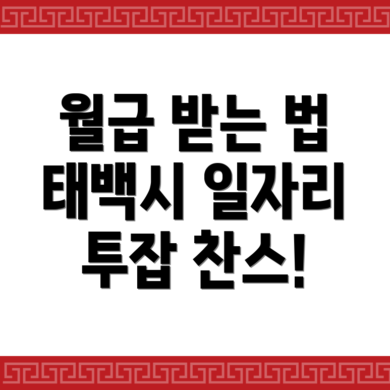 태백시 원동 공공 일자리