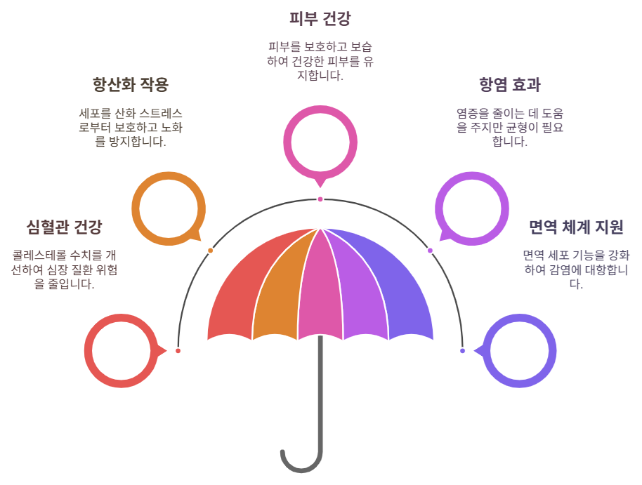 해바라기씨유 효능