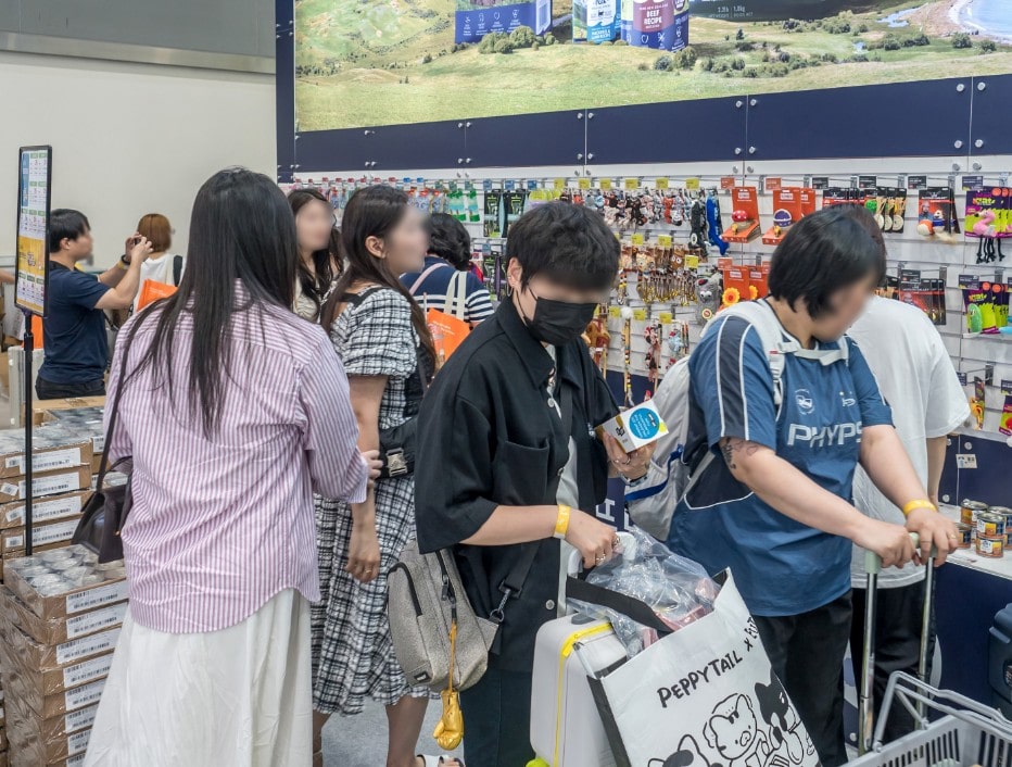 2024 궁디팡팡 캣페스타 사전예매 50% 할인받기 (일산 9/6~9/8)