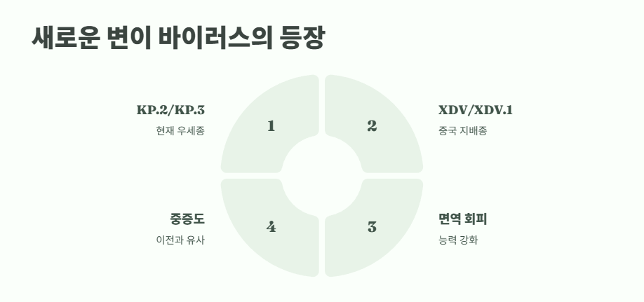 코로나19 재유행 최신 동향 2