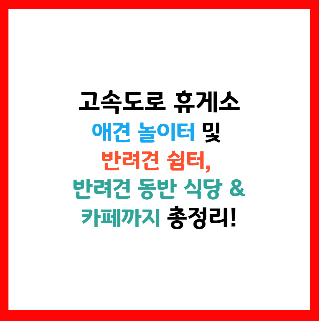 애견 수영장