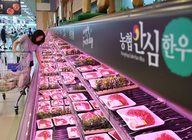 소(牛)프라이즈 2025 한우 할인행사