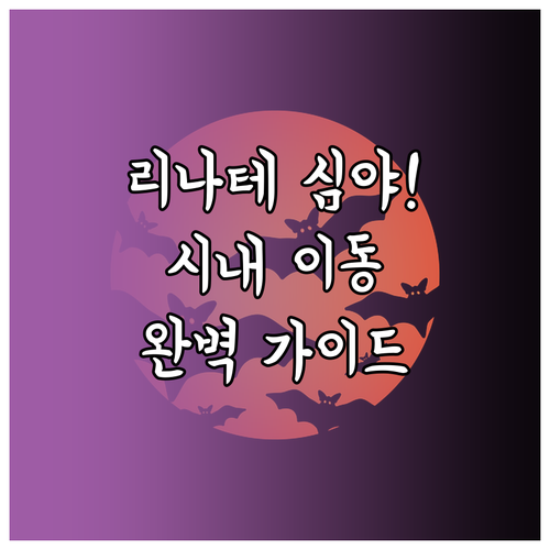 리나테 공항 심야 도착 시 시내 이동..