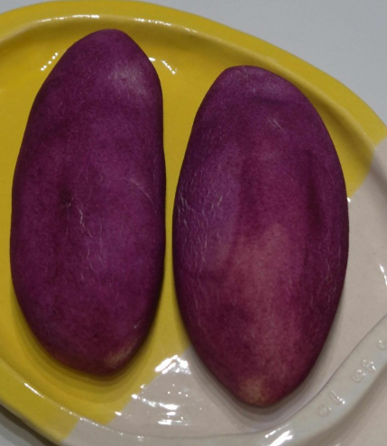 익산 대표 디저트 카페 맛집 고구마빵 주실래 안내 