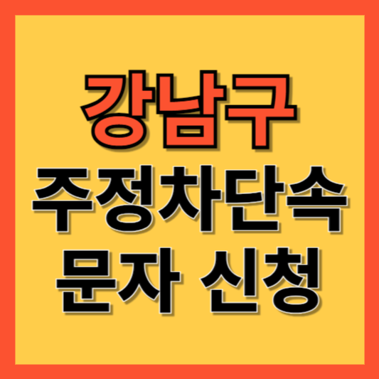 강남구 주정차 단속 알림 서비스 신청 방법 ❘ 주차단속 문자알림서비스