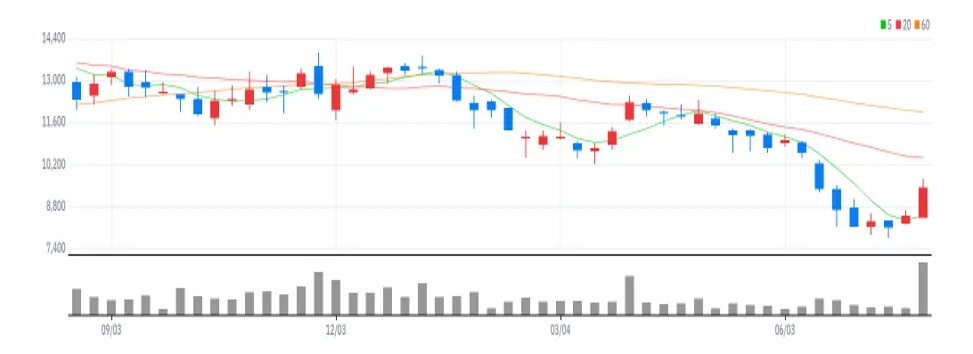 엘비세미콘 주봉