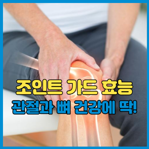 조인트 가드