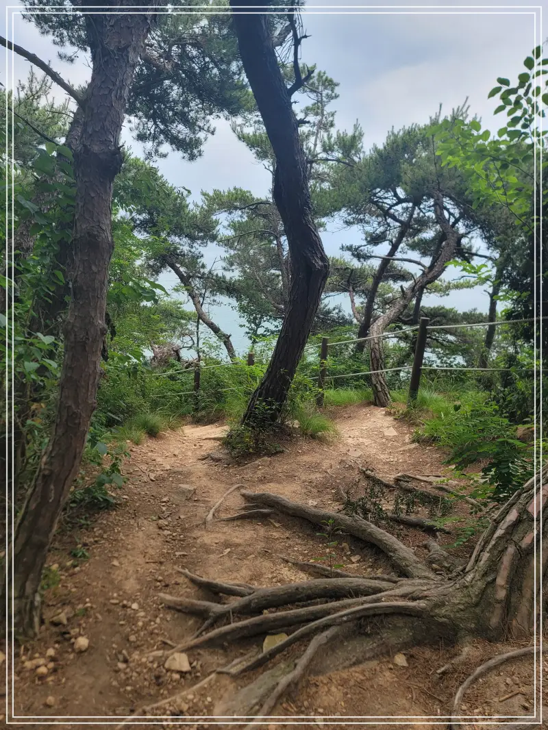 소무의도-둘레길20250714_123315