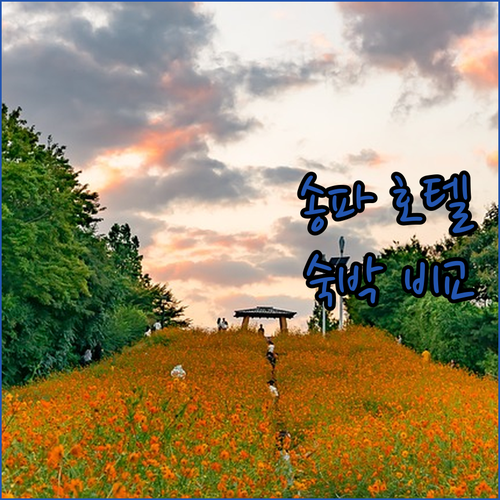 송파 호텔 완벽 분석 가락 관광 호텔