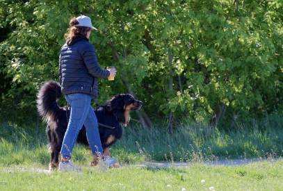 반려동물 산업의 숨은 자격: ‘펫푸드 전문가’ 자격증